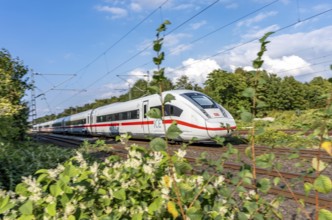 Train traffic on one of the busiest railway lines in Germany, ICE train between Duisburg and