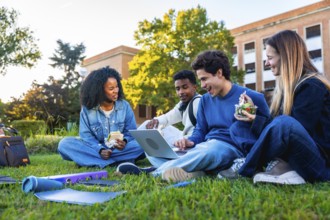 Group of diverse university students sitting on the green grass campus, sharing a laptop, studying,