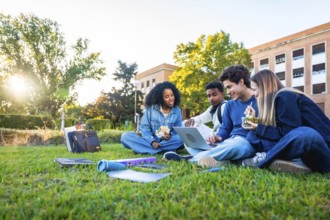 Group of multiethnic university students sitting on green grass, studying and discussing coursework