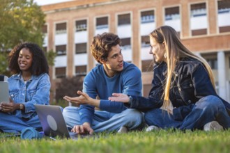 Diverse group of young university students sitting on the green grass casually talking and studying