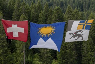 Flags Switzerland, Arosa, Graubünden, Arosa, Graubünden, Switzerland