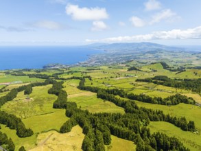 Lush Green Hills with Pasturelands and Trees. Atlantic Ocean. Azores, Sao Miguel Island. Portugal.