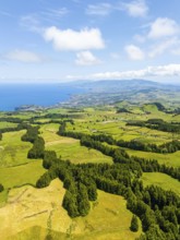 Green Lush Hills with Pasturelands and Trees. Atlantic Ocean. Azores, Sao Miguel Island. Portugal.