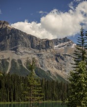 A rugged mountain scene of the Canadian Rocky Mountains with pine trees and clouds in a bright blue