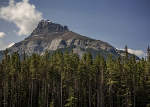 Majestic mountain of the Canadian Rocky Mountains with a rocky peak rising above a forest under a
