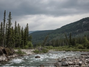 A flowing Elbow River bordered by dense forests and mountains under a cloudy sky within Bragg Creek