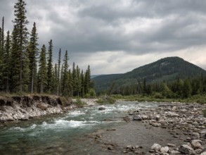 A rocky Elbow River flows between dense forests under an overcast sky in a mountainous region