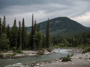The Elbow River winds through a vast forest with mountains under a moody sky within Bragg Creek