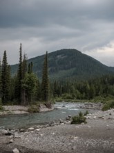 The Elbow River meanders through a dense evergreen forest beneath a cloudy sky within Bragg Creek
