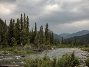 A tranquil Elbow River runs through a forest with a backdrop of distant mountains within Bragg