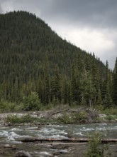 The Elbow River below a steep forested mountainside under a dramatic cloudy sky within Bragg Creek