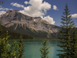 Emerald Lake with lush greenery and the rugged Canadian Rocky Mountains within Yoho National Park