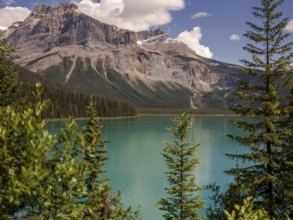 Emerald Lake with lush greenery and the rugged Canadian Rocky Mountains within Yoho National Park