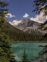 Turquoise Emerald Lake with surrounding Canadian Rocky Mountains and trees within Yoho National