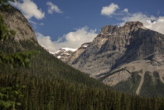 The Canadian Rocky Mountains under a blue sky with clouds and dense forest within Yoho National