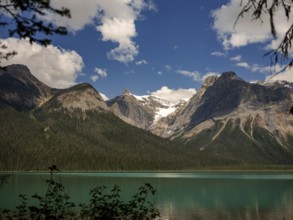 Snow-capped Canadian Rocky Mountains beside Emerald Lake with a clear blue sky inside Yoho National