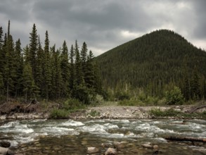 A rugged river flows through a forest with tall mountains under a dramatic sky within Bragg Creek