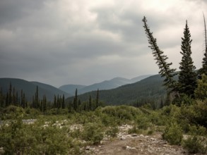Mountain view with trees and rocky terrain under an overcast sky within Bragg Creek Provincial