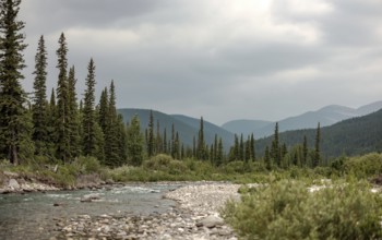 Peaceful riverbank scene of the Elbow River with trees and mountains under a cloudy sky within