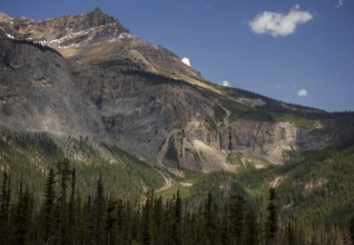 Expansive mountain of the Canadian Rocky Mountains and forest landscape under clear skies inside