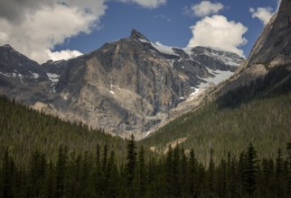 Rocky peaks of the Canadian Rocky Mountains under clear skies with dense forest below inside Yoho