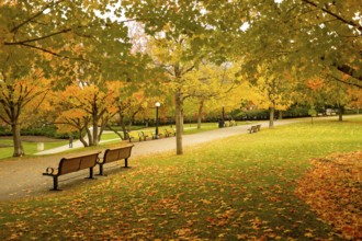 Park scene in fall with a pathway and benches, surrounded by trees in vibrant autumn colors,
