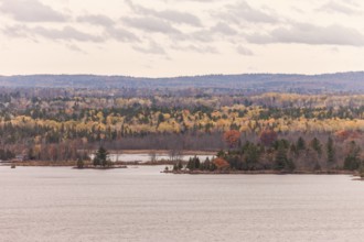 Autumn forest with yellow and orange trees bordering the Ottawa River under a cloudy sky in Ottawa,