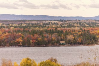 A small cabin nestled in an autumn forest along the Ottawa River with hills in the distance in