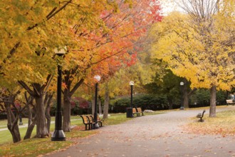 Autumn scene in a park with colorful trees lining a quiet path with benches in Ottawa, Ontario,