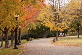 A serene park during autumn with vibrant foliage and empty benches along a paved path in Ottawa,