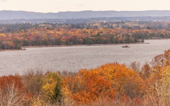 Vibrant autumn forest along the Ottawa River with distant hills under a cloudy sky in Ottawa,