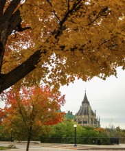 Colorful autumn trees framing a distant view of a gothic-style of the Canadian Parliament Building,