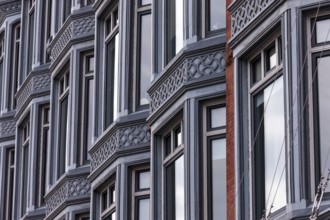 Facade of a building with a series of windows and intricate architectural designs, reflecting a