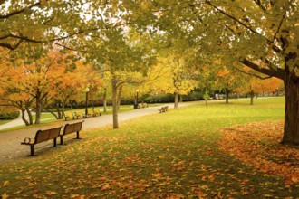 An autumnal park scene with benches and a pathway, framed by colorful tree foliage, exuding