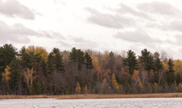 Forest and lake scene with autumn foliage and an overcast sky in Ottawa, Ontario, Canada, North