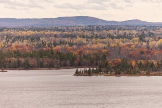 Autumn colors dominate a forest landscape by the Ottawa River with distant hills in Ottawa,