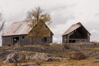 Two old barns in a rural area with autumn trees and a cloudy sky in Ottawa, Ontario, Canada, North