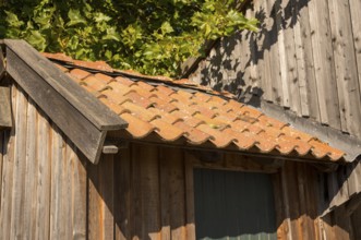 Borken, NRW, Germany, Rustic wooden shed featuring old terracotta roof tiles and green foliage