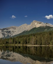 Tall mountains of the Canadian Rocky Mountains and trees reflecting in a serene lake under a clear