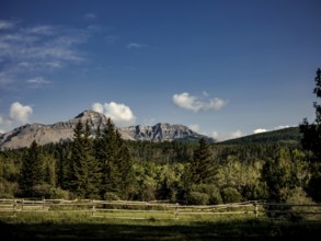 Landscape of mountains of the Canadian Rocky Mountains viewed from a grassy field with a wooden