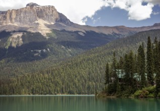 Forested Emerald Lake with the Canadian Rocky Mountains beneath a blue sky and scattered clouds