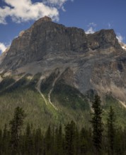 Steep rocky mountain peak of the Canadian Rocky Mountains with a forest at the base under a clear