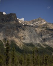 Mountain peaks of the Canadian Rocky Mountains with patches of snow and a forested base under a