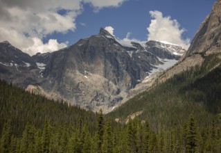 Imposing cliffs of the Canadian Rocky Mountains with snowy patches and dense forest beneath a clear