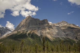 Massive mountain peaks of the Canadian Rocky Mountains surrounded by green forest and a clear blue