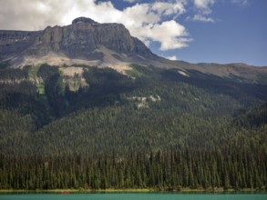 Serene landscape featuring a forest-lined Emerald Lake with the Canadian Rocky Mountains in the