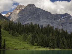 Imposing rocky mountain of the Canadian Rocky Mountains and dense forest with a bright sky and