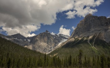 Dramatic mountain range of the Canadian Rocky Mountians under a cloudy sky with dense green forest