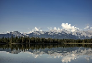 Tranquil lake mirroring mountains of the Canadian Rocky Mountains and sky, with pine forest and