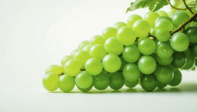 A close-up shot showcases a bunch of vibrant green grapes, beautifully arranged against a clean,